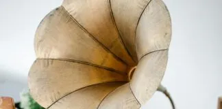 Impfung Tetanus Wie Oft: Alles Was Sie Wissen Müssen