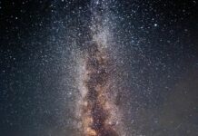 Wie Sieht Scheidenpilz Aus? Wichtige Anzeichen Und Tipps Entdecken